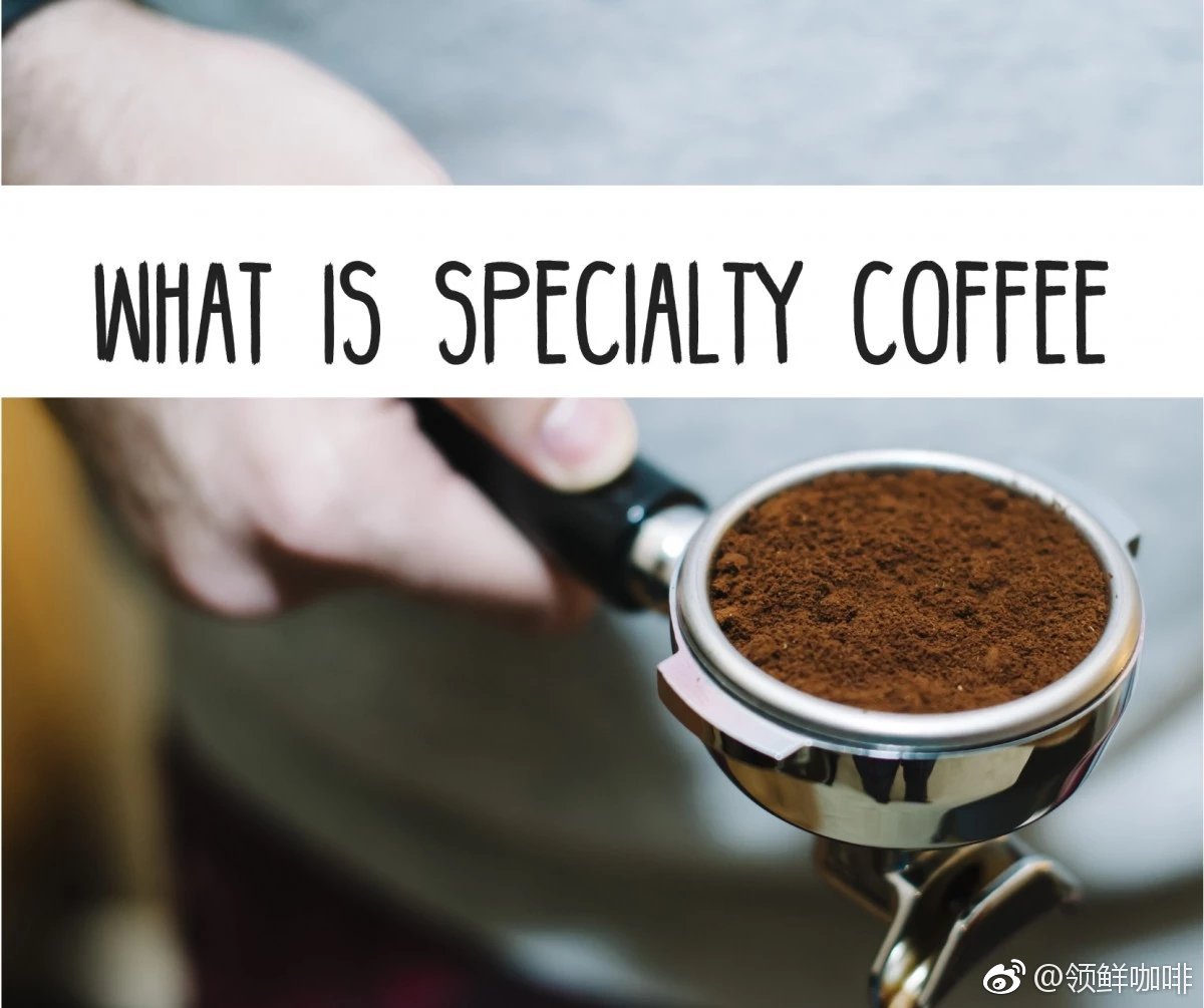 咖啡知识 | 选择精品咖啡的几个理由