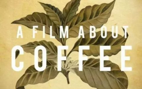 纪录片《一部关于咖啡的电影》